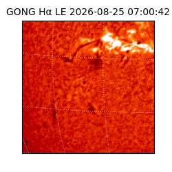 gong - 2026-08-25T07:00:42