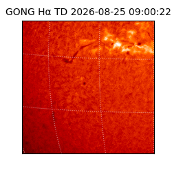gong - 2026-08-25T09:00:22