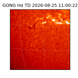 gong - 2026-08-25T11:00:22