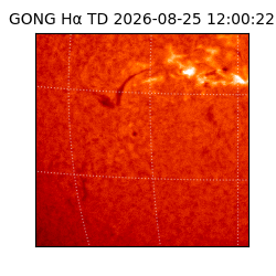 gong - 2026-08-25T12:00:22
