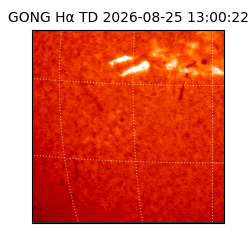 gong - 2026-08-25T13:00:22