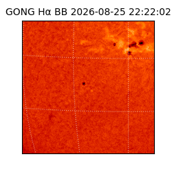 gong - 2026-08-25T22:22:02