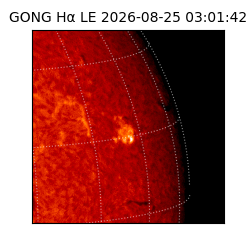 gong - 2026-08-25T03:01:42