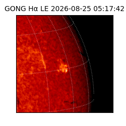 gong - 2026-08-25T05:17:42