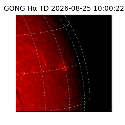 gong - 2026-08-25T10:00:22