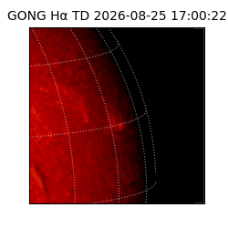 gong - 2026-08-25T17:00:22