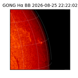 gong - 2026-08-25T22:22:02