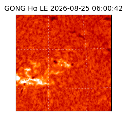 gong - 2026-08-25T06:00:42