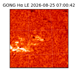 gong - 2026-08-25T07:00:42