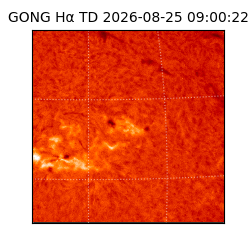 gong - 2026-08-25T09:00:22