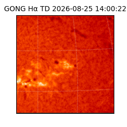 gong - 2026-08-25T14:00:22