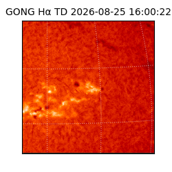 gong - 2026-08-25T16:00:22
