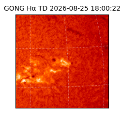 gong - 2026-08-25T18:00:22