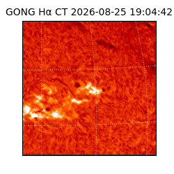 gong - 2026-08-25T19:04:42