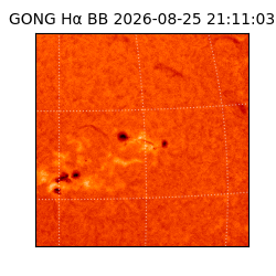 gong - 2026-08-25T21:11:03