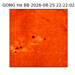 gong - 2026-08-25T22:22:02