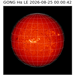 gong - 2026-08-25T00:00:42