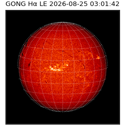gong - 2026-08-25T03:01:42