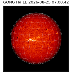 gong - 2026-08-25T07:00:42