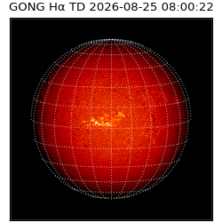 gong - 2026-08-25T08:00:22