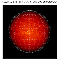 gong - 2026-08-25T09:00:22