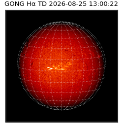 gong - 2026-08-25T13:00:22