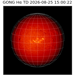 gong - 2026-08-25T15:00:22