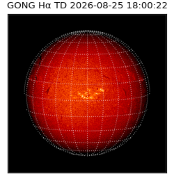 gong - 2026-08-25T18:00:22