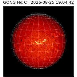 gong - 2026-08-25T19:04:42