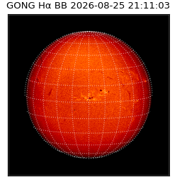 gong - 2026-08-25T21:11:03