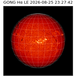 gong - 2026-08-25T23:27:42