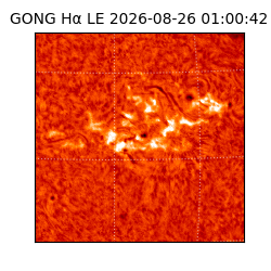 gong - 2026-08-26T01:00:42