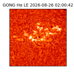 gong - 2026-08-26T02:00:42