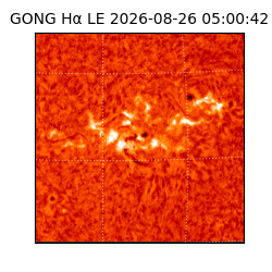 gong - 2026-08-26T05:00:42