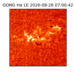 gong - 2026-08-26T07:00:42