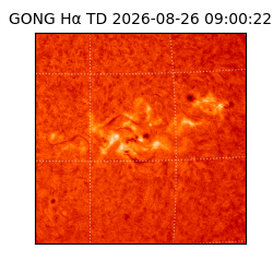 gong - 2026-08-26T09:00:22