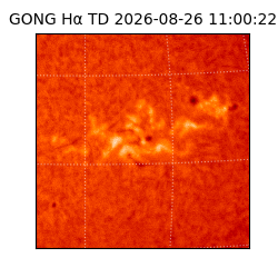 gong - 2026-08-26T11:00:22
