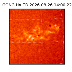 gong - 2026-08-26T14:00:22