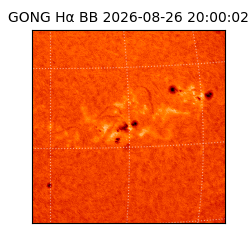 gong - 2026-08-26T20:00:02
