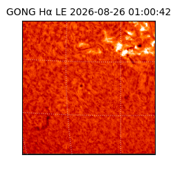 gong - 2026-08-26T01:00:42
