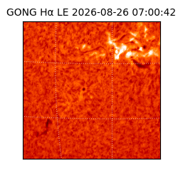 gong - 2026-08-26T07:00:42