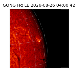 gong - 2026-08-26T04:00:42