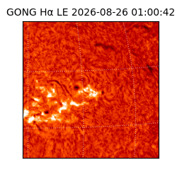 gong - 2026-08-26T01:00:42