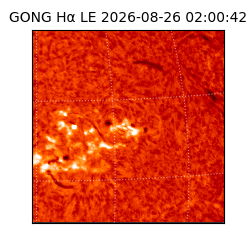 gong - 2026-08-26T02:00:42