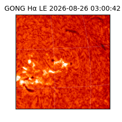 gong - 2026-08-26T03:00:42