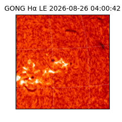 gong - 2026-08-26T04:00:42
