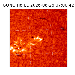 gong - 2026-08-26T07:00:42