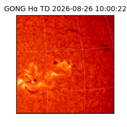 gong - 2026-08-26T10:00:22