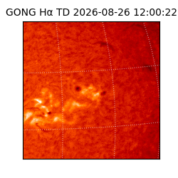 gong - 2026-08-26T12:00:22