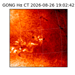 gong - 2026-08-26T19:02:42